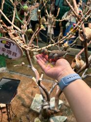 -Zoolung Zoolung动物主题公园(海信广场店)