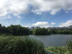 -新江湾城公园