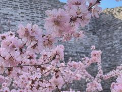 -北京明城墙遗址公园