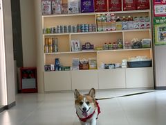 -虹泰宠物医院 ·旗舰店·24h(南秀路店)