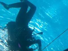 -上海潜殿潜水中心