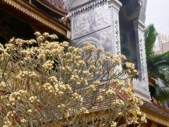 -西双版纳总佛寺