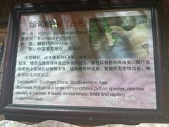 -上海大自然野生昆虫馆(东方明珠·爬宠昆虫探索中心)