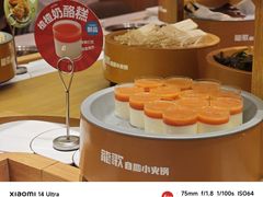 -龍歌自助小火锅(崂山丽达店)