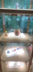 -娇玫荟SPA