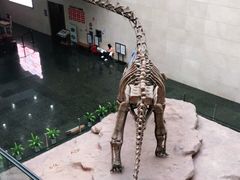 -衢州市博物馆