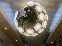 -紫洁俪方（北京）医疗美容