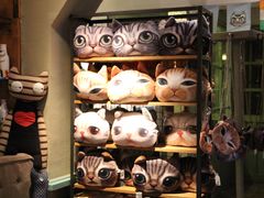 -猫咪博物馆(顶澳仔猫街店)