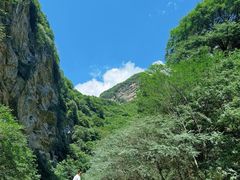 -少华山国家森林公园