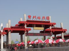 -曹州牡丹园
