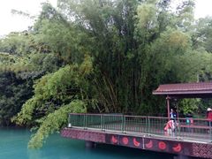 -金盆阿嬷香菇茶叶蛋(玄光店)