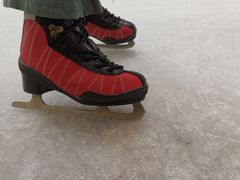 -炫采冰场(红博中央公园商场店)