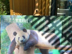 -杭州动物园