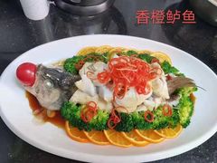 -优护优家Ucare月嫂育儿嫂陪伴师(静安店)