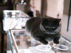 -Me Coffee下午茶艺术空间