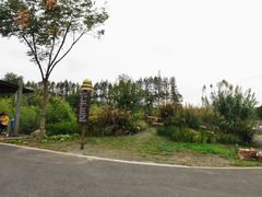 -上海长兴岛郊野公园