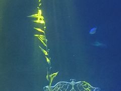 -常州海昌海洋探索馆