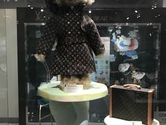 -济州岛泰迪熊博物馆