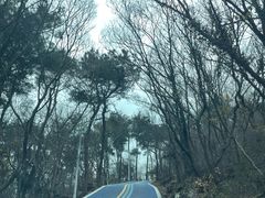 -南京金牛湖风景区