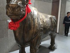 -秦宝雪花牛肉养生火锅(大兴九臻店)