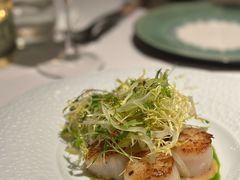 -蝶舍·MAISON PAPILLON