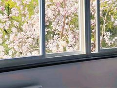 -上海大学(嘉定校区)