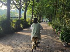 -中国茶叶博物馆(双峰馆区)
