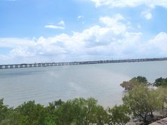 -宝安西湾红树林湿地公园