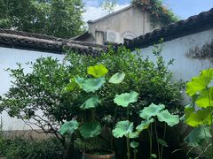-院子餐厅·大锅菜·老杭帮(桥西直街店)