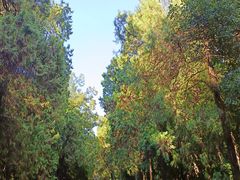 -灵谷景区