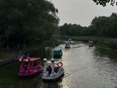 -大兴滨河森林公园