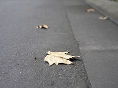-沙河三洞古桥公园