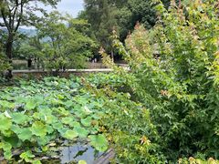 -韶山毛泽东同志故居