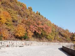 -白草畔自然风景区