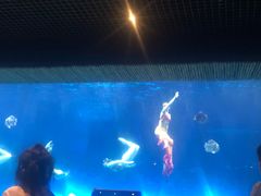 -华夏文旅西安度假区