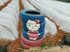 -中国香山·寿香谷