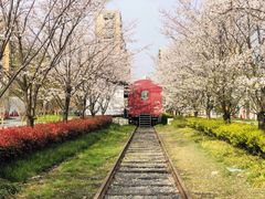 -新天地活力PARK