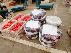 -天津金元宝滨海农产品交易市场(共发大道)