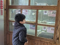-上海大自然野生昆虫馆(东方明珠·爬宠昆虫探索中心)