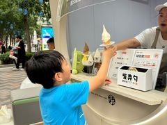 -野人先生现做冰淇淋(北京顺义祥云小镇店)