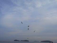 -傅家庄公园