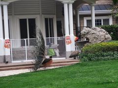 -J Create城市露营咖啡·简餐·宠物(上海动物园店)