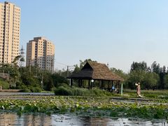 -前关湿地公园