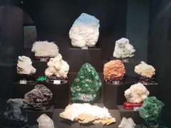 -烟台自然博物馆