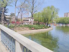 景点-团结湖公园