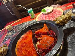 -蜀大侠火锅(总府路店)