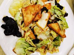 豆腐木耳圆白菜-奥华餐厅·老张记(台基厂店)