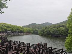 -白马涧龙池景区