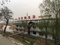 -白氏鲶鱼汤(白亮1号店)