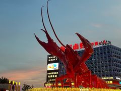 -虾皇(龙虾城旗舰店)